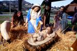 Nativity Scene, manger, Baby Jesus, crib, lamb, Mother Mary, sheep, hay, Three Wisemen