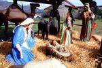 Nativity Scene, manger, Baby Jesus, crib, lamb, Mother Mary, camels, hay, Three Wisemen, PHCV02P08_12