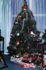 Presents, Decorations, Ornaments, Tree, PHCV02P12_03