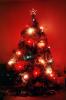 Presents, Decorations, Ornaments, Tree, PHCV02P12_11