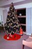 Presents, Decorations, Ornaments, Tree, PHCV02P12_19