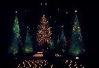 Tree, Decorations, Presents, Ornaments, Christmas Tree decorated, PHCV03P05_02