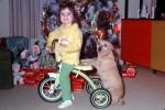Girl, brand new tricycle, dog, tree, smiles, cute, funny, 1960s, PHCV03P06_10