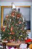tree, Presents, Decorations, Ornaments, 1950s, PHCV03P09_18