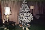 tree, presents, Decorations, Ornaments, Lamp, 1940s, PHCV03P10_18