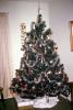 Tree, Decorations, Ornaments, Presents, 1950s, PHCV03P11_06