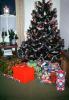 Tree, Decorations, Ornaments, Presents, 1950s, PHCV03P11_09