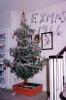 tree, presents, Decorations, Ornaments, 1966, 1960s, PHCV03P13_03