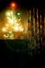 Tree, Lights, curtain, drapes, PHCV03P14_14