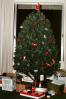 Christmas Tree, December 1978, 1970s, PHCV04P09_13