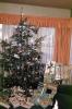Christmas Tree, Presents, 1950s, PHCV04P09_19