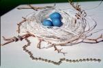 Blue eggs, paper nest, jewelry, twigs, PHEV01P03_07
