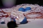 Blue eggs, paper nest, jewelry, twigs, PHEV01P03_13
