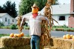 Cowboy, Scarecrow, Sebastopol, California, PHHV01P08_09