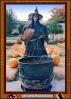 Witch, Scarecrow, Sebastopol, California, PHHV01P08_12