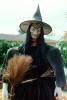 Witch, Scarecrow, Sebastopol, California, PHHV01P08_13