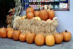 Hay Bales, Pumpkins, PHHV01P14_10