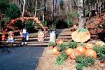 Hay Bales, Scarecrow, Pumpkins, PHHV02P02_10