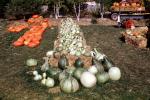 Gourds, Pumpkins, Hay Bales, PHHV02P03_03