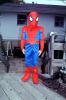 Spiderman, PHHV02P03_15