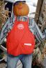 Door County, Scarecrow, Pumpkins, PHHV02P04_06
