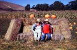 Scarecrow, Pumpkins, PHHV02P05_05