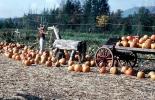 Scarecrow, Pumpkins, wooden horse, wagon, field, cartwheel