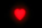Heart, PHVV01P02_11.2415