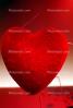 Heart, PHVV01P02_14