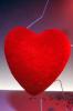 Heart, PHVV01P02_16