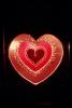 Heart, PHVV01P03_17