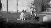 Tricycle, Girl, retro, 1930s, 1950s, PLGV01P01_02