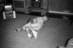 kids wrestling, 1950s, PLGV01P01_06