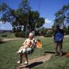 Grandmother, Lawn, Trees, Swing, Grandfather, Baby, Grandchild, 1960s