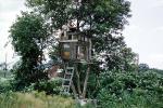 Treehouse, Boys, Backyard, Ladder, July 1958, 1950s, PLGV01P02_10