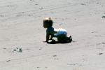 Sand, Beach, Infant, Baby, PLGV01P14_16B