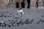 Pigeons, Girl, Venice, PLGV02P05_11
