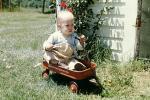 boy and his wagon, American Beauty wagon, baby boy, 1960s, PLGV03P04_16