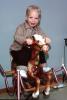 Rocking Horse, Boy, smiles, fun, 1950s