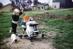 Puscart, Stroller, dog, baby, toddler, 1940s