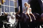 Brother and Sister sitting on a Bull, cute, funny, horns, PLGV04P03_16