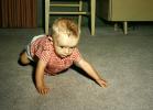 Crawling Toddler, Boy on a carpet