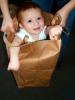 Boy in a Bag, Toddler, PLPD01_044