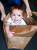 Boy in a Bag, Toddler, smiles, funny
