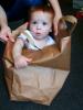 Boy in a Bag, Toddler, PLPD01_046