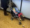 Toddler in a baby stroller, pram, pushcart, infant, baby, infant, PLPD02_213