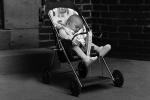 Stroller, Baby, sleeping, summer, Manhattan, PLPPCD0663_043B