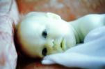 Baby, Toddler, PLPV01P01_14