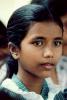 Sri Lanka, Girl, Face, Pretty, PLPV03P15_09B