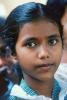 Sri Lanka, Girl, Face, Pretty, PLPV03P15_11B